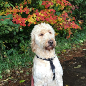 Meet your Posher, Mark